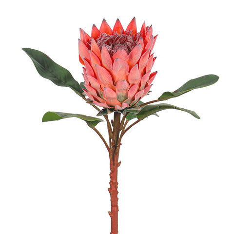 artificial protea bunch
