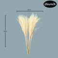 White Natural Dried Pampas Grass