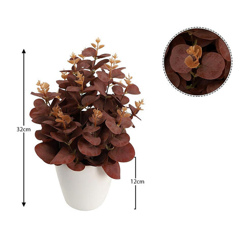 Potted maroon eucalyptus plant