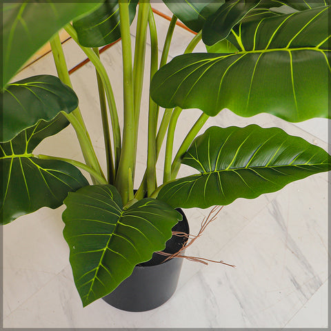 Nearly Natural Alocasia Plant  110cm High