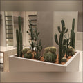 artificial cactus arrangement
