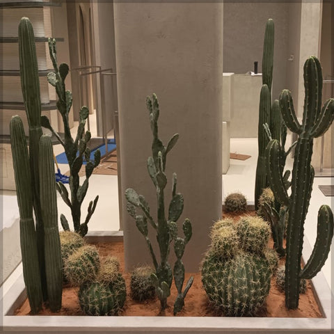 cactus decor for shops