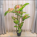 Artificial Caladium Plant in a decorative pot for modern interiors