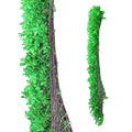 Green Eucalyptus Backdrop