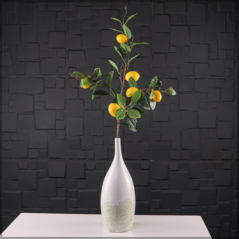 Fake Lemon Plant
