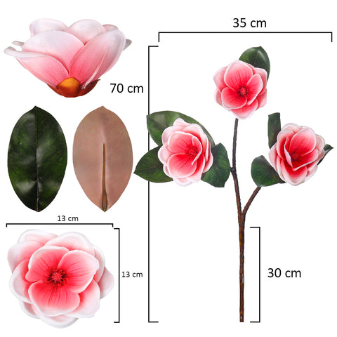 Magnolia branch