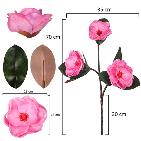 Magnolia flower stems