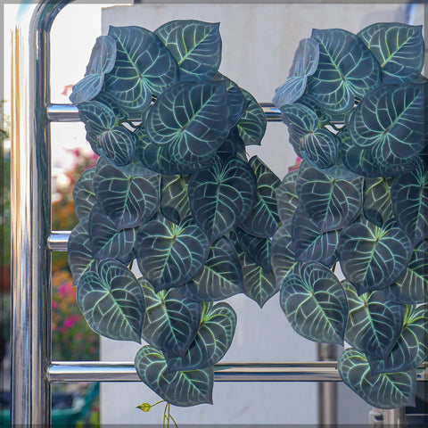 Artificial syngonium leaves