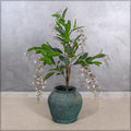 artificial trailing plant