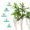 jasmine vine