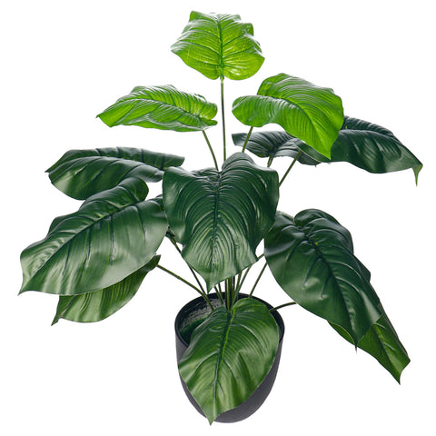 Artificial tropical plants in Dubai