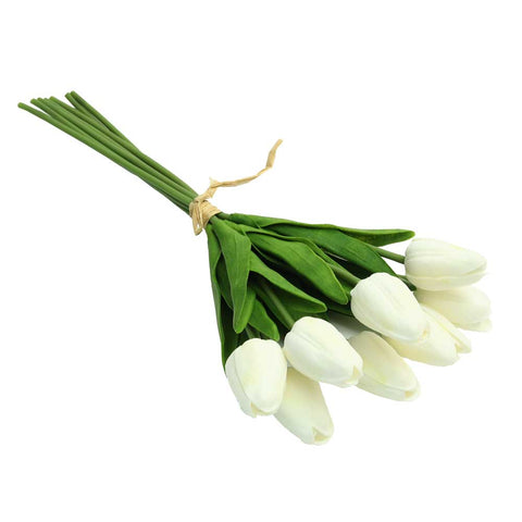Tulip Flowers