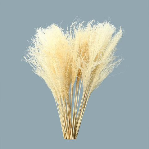 Pampas Grass Arrangements