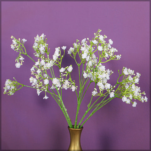 Decorative Baby's Breath Flowers