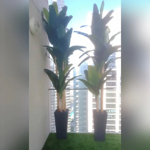 vertical succulent wall feature