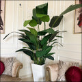 artificial palm and banana plants