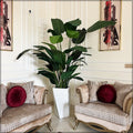 banana leaves