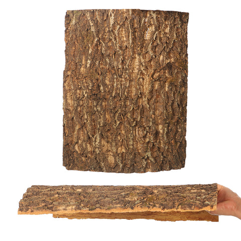 Dried Tree Barks