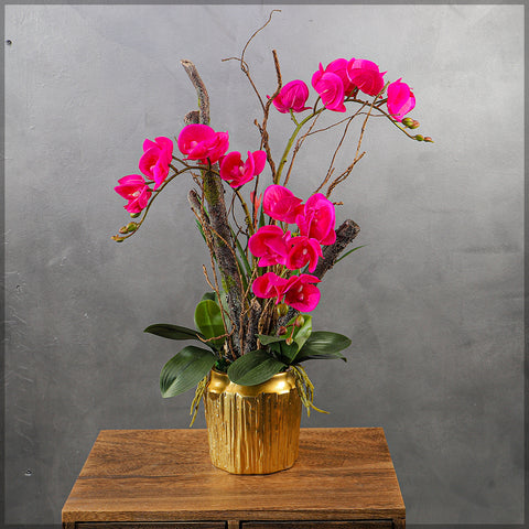 Orchid flowers