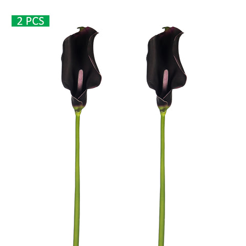 tall calla lily stems for floral arrangements