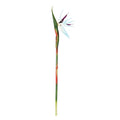 Bird of Paradise Artificial Plant