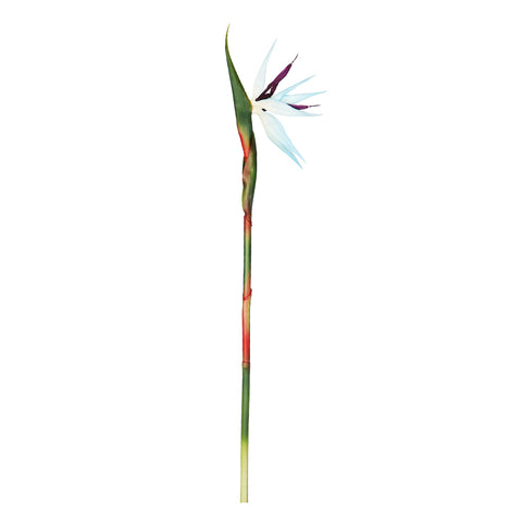 Bird of Paradise Artificial Plant