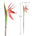 Tropical Plant Decor