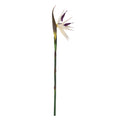 Artificial Bird of Paradise