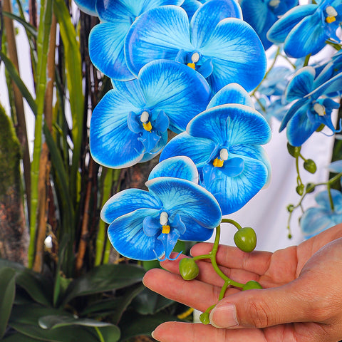 Natural look blue orchids