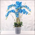 Artificial blue orchid in plastic pot