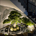 bonsai plant home decoration