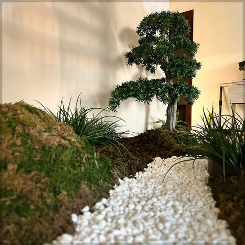 Bonsai Plant Arrangement