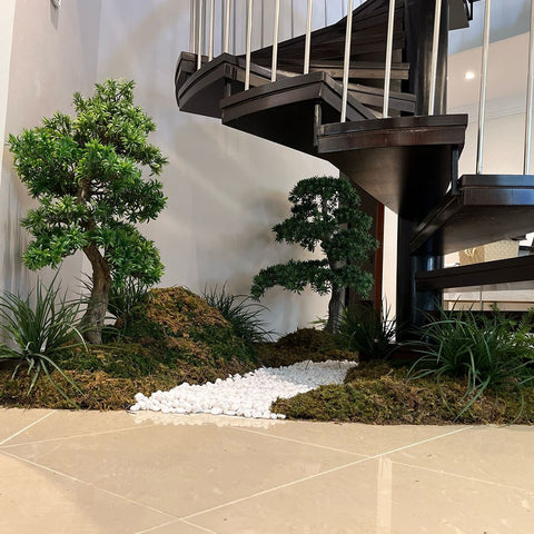 Bonsai Plant Arrangement