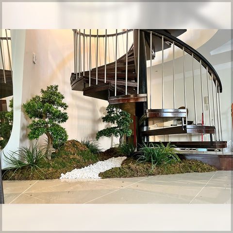 Bonsai Plant Arrangement