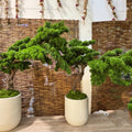 artificial bonsai