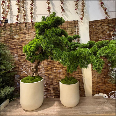 artificial bonsai tree craft kit