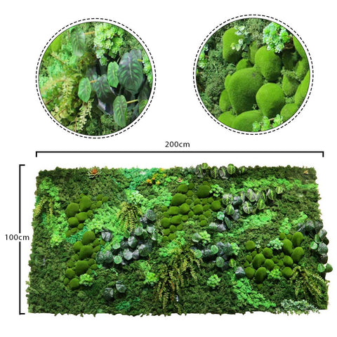 botanical greenery moss wall art