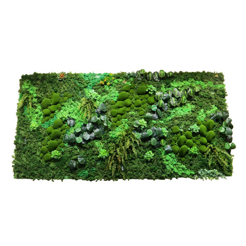 framed botanical moss wall design
