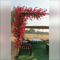 Bougainvillea flower decoration