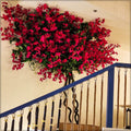 Bougainvillea wall decoration