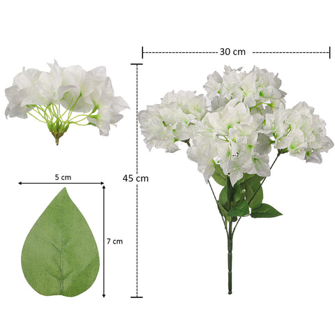 Bougainvillea Flowers for Floral Arrangements