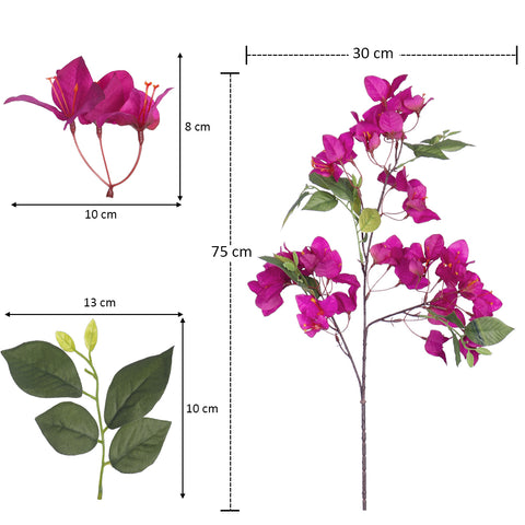 Silk Bougainvillea