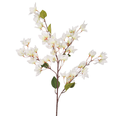 Bougainvillea Stem for Garden Décor