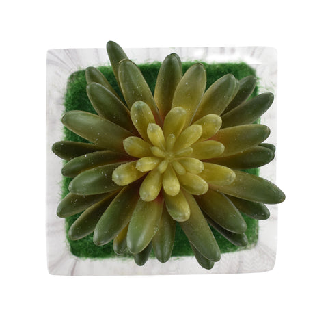 Faux Succulent in Ceramic Pot