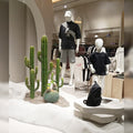 cactus decoration