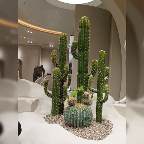 faux cactus