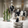 shop cactus decor