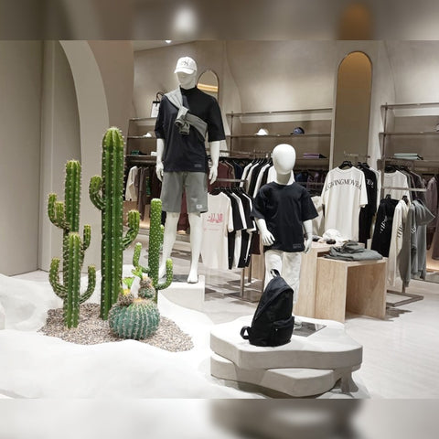 shop cactus decor