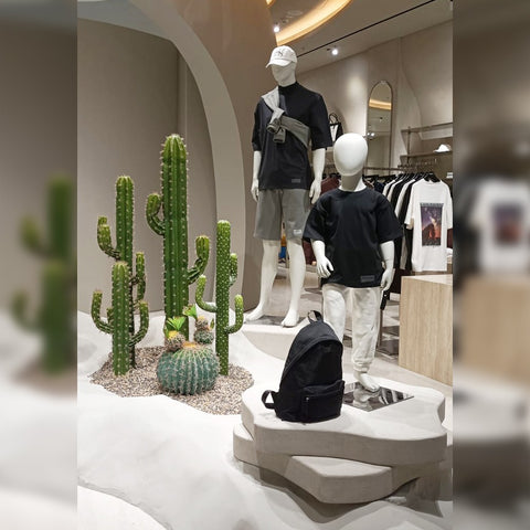 indoor cactus