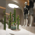 artificial cactus